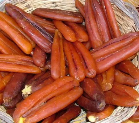 בית חווה Amici