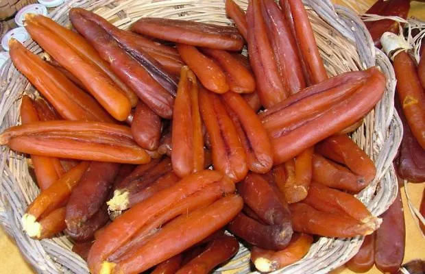 Gospodarstwo agroturystyczne Amici